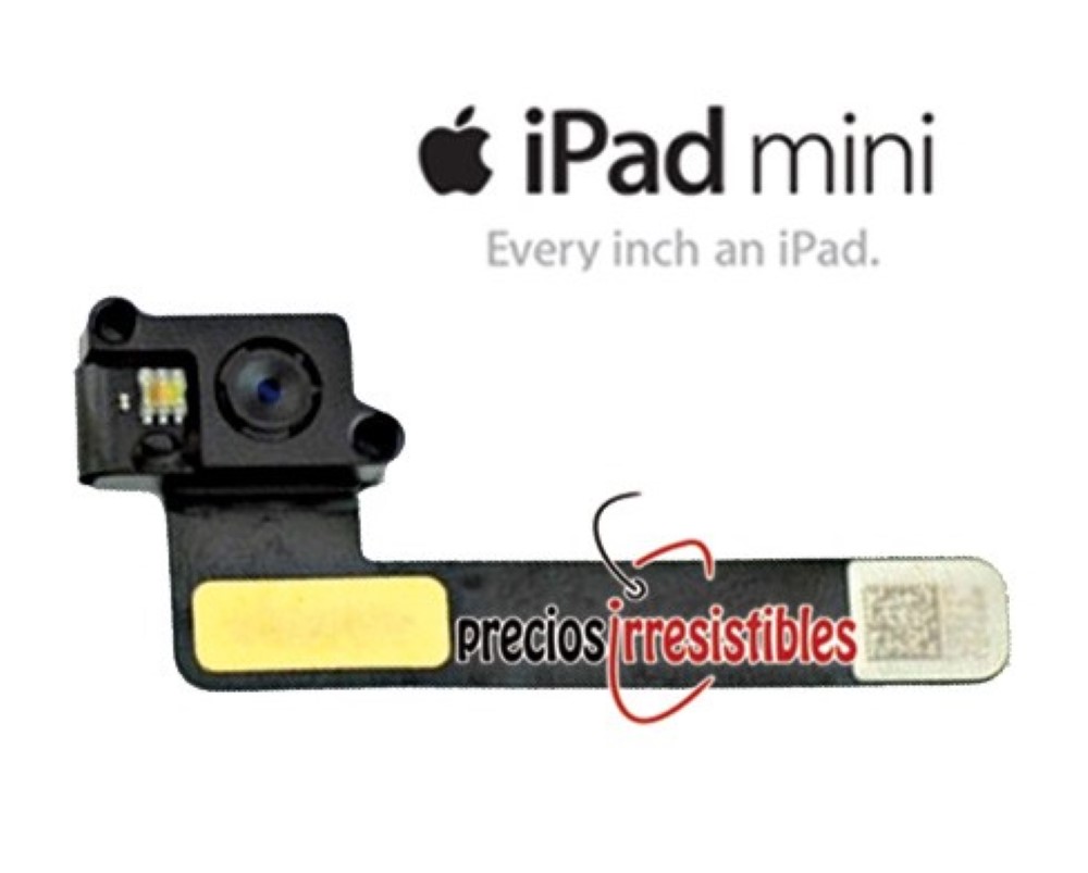 iPad Mini Back camera