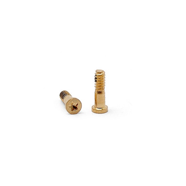 iPhone 6 Low screws set gold