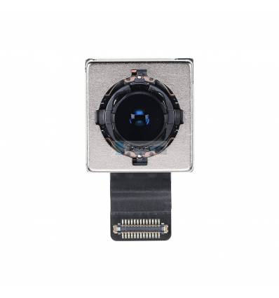 Flex iPhone 11 Camara Trasera