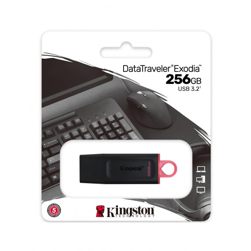 Memoria USB PenDrive Kingston 256GB USB 3.2