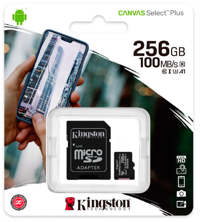 Memoria KINGSTON TARJETA micro SD 256GB CLASE 10 100MB/S A1 
